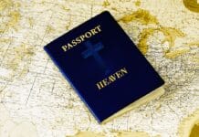 Co robić w Poznaniu, gdy pada deszcz?